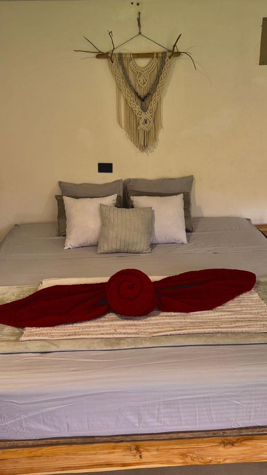 Apartmán Deer House Cabuya Cabuya  Exteriér fotografie